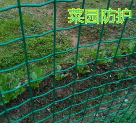 湖南稻田養殖圍欄