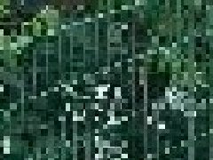 <b>武漢護欄廠家淺述網(wǎng)片柵欄如何安裝</b>