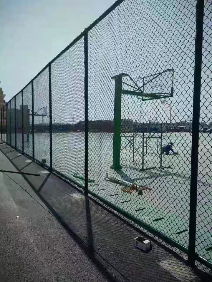 1604556319505521.jpg